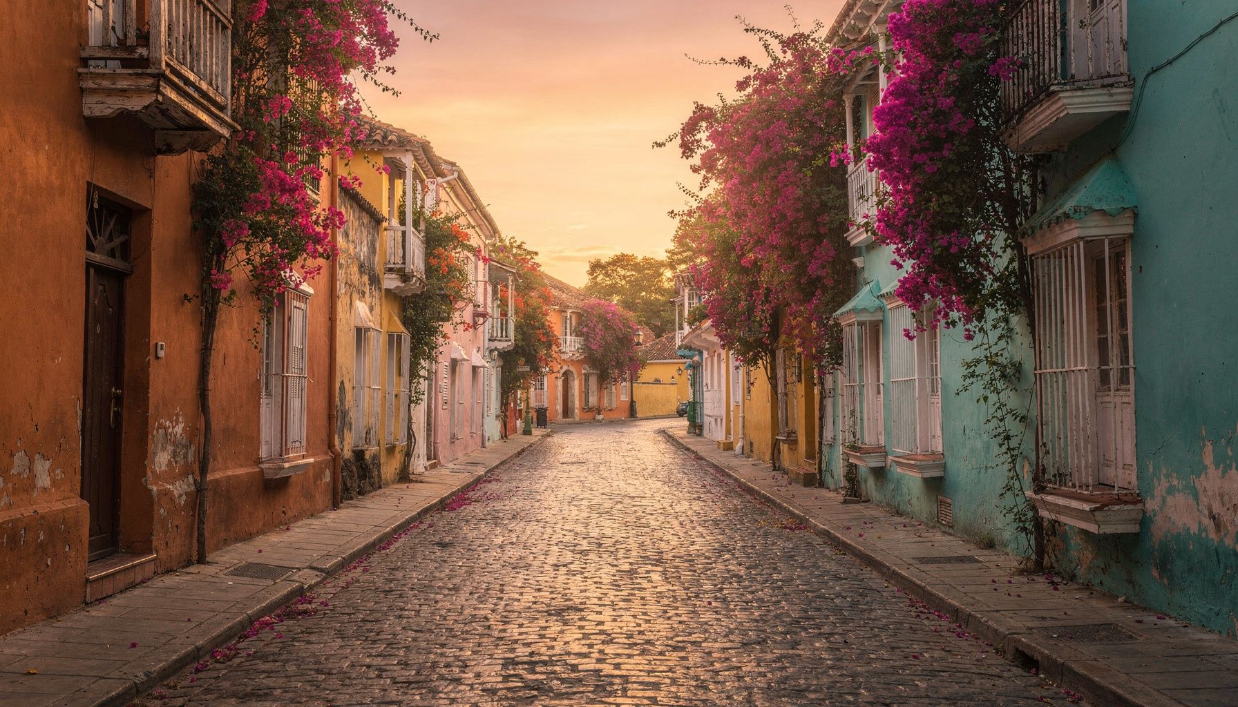 Copa vs Avianca: Best Connecting Airlines for US-Brazil Flights